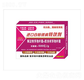 ΢�����-�M�ڰ׷��P����Ч��-���S��