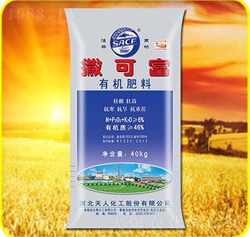 �ЙC����-���ɸ�-����