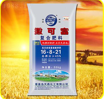 �ͺϷ���16-8-21