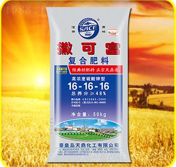 �ͺϷ���16-16-1