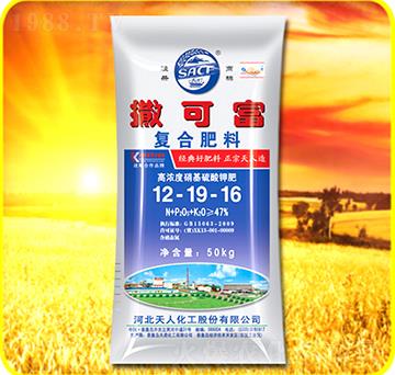 �ͺϷ���12-19-1