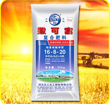 �ͺϷ���16-8-20