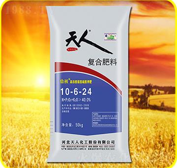 �ͺϷ���10-6-24-���˻���