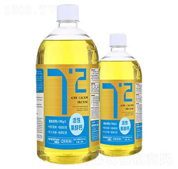 ���Թ����}-�Z˼�_