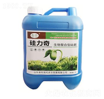 ���������͹��-������-�ΐ��r(n��ng)�I(y��)