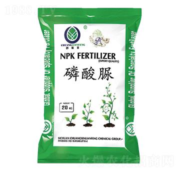 �����壨UP��-��(chu��ng)��(li��n)�S