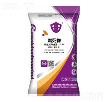 ������ˎ��-¡������