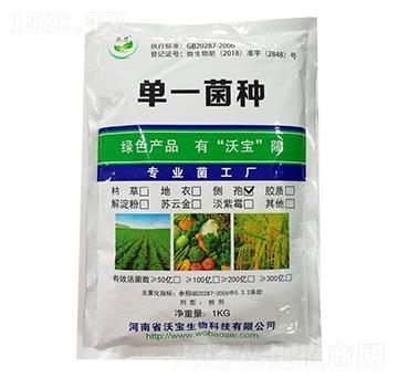 ��(c��)��ѿ�ߗU��-�֌�����