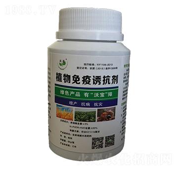 ֲ�������T�������ۄ���-�֌�����