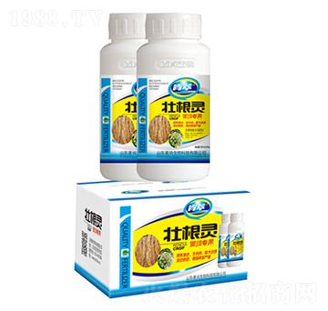 壯根靈當(dāng)歸專用-麥肯生物