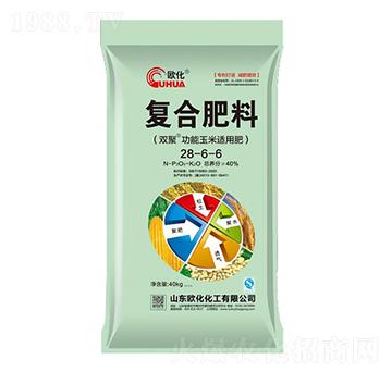 �ͺϷ���28-6-6-