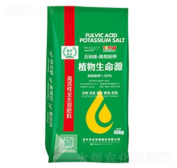 �S������w��ˮ�ܷ�-ֲ������Դ-���l(xi��ng)�r(n��ng)�I(y��)