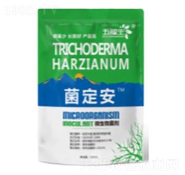 ΢�������-������-�帣��