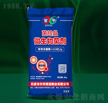 ���Y(ji��)��΢�������-��ţ����