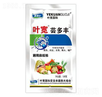 �~���|���S���ﱣ�o���b-ʥ��������