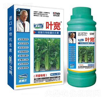 �۲ˌ����~���-��������ø�T����-�~��-ʥ��������