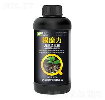 海藻魚(yú)蛋白-根魔力-沃爾特