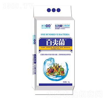 ����������{(di��o)�턩-����