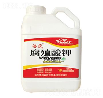 ��ֲ���-�A�����Z