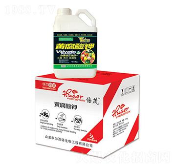 5kg�S�����-�A����