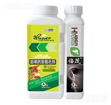 ���������ɫ+��ï-�A