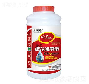 ����������-�A�����Z