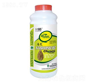 ����������_ʩ��-�A��