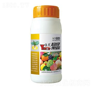 ����(j��)����-�A�����Z