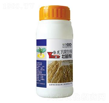 �����������焩-�A����