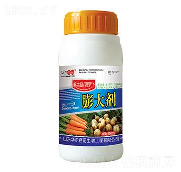 ���������}���������