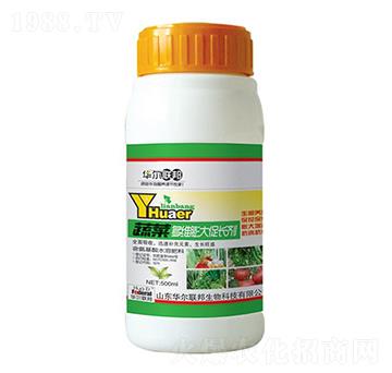 �߲˶�S�����L(zh��ng)��-�A