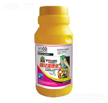 ����������-�A�����Z