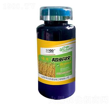 ������-�A�����Z