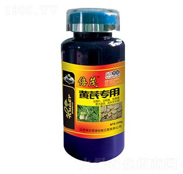 �S�Ό����~���-�A����