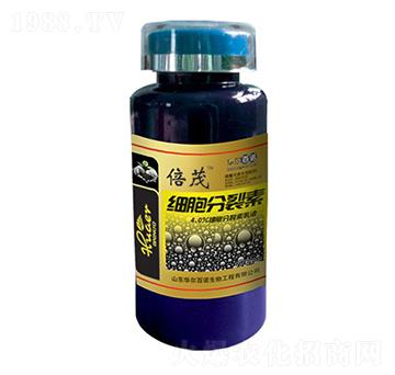 200g��(x��)��������-�A