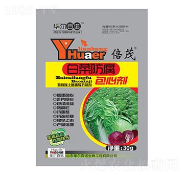 �ײ˷������Ą�-�A����