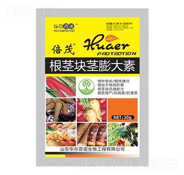 ���o�K�o�����-�A����