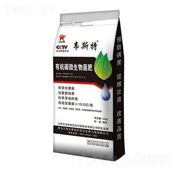 �ЙC(j��)̼΢�������-�f˹��-��(l��)�r(n��ng)�I(y��)