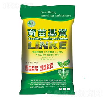 ������|-�����ؿ�