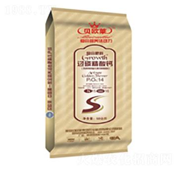 �^�׾����}�ͺϷ���14-15-16-ؐ�W�R