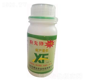 粒先鋒1號增產(chǎn)增收-億輝達(dá)