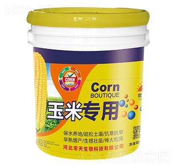 ���׌�(zhu��n)��-��������