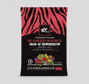 ����-�VԴ�S�����-�SҰ�r�I(y��)