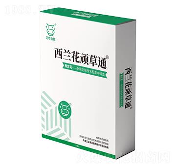 ���m���B��ͨ-���A����