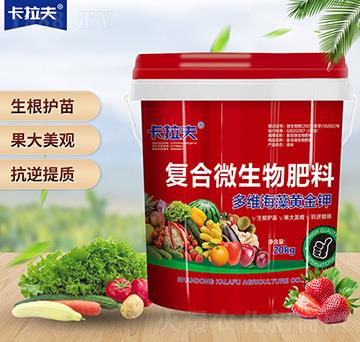 �ͺ�΢�������-��΢�����S���-������