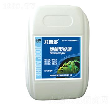 ̼ø������-���ն�-�Ʒ�ķ