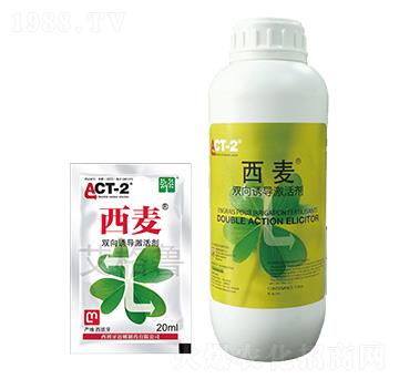 �p���T��(d��o)���-����-������