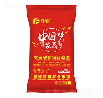 ��ֳ������I�B(y��ng)��-�Ƿ�