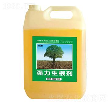 Ǥ�塤����������(qi��ng)��������-�ֱ�ķ-�T�ַ���