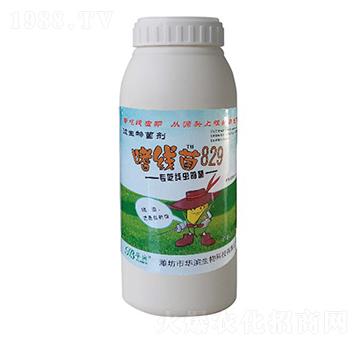 �Ⱦ���829-�A�I����